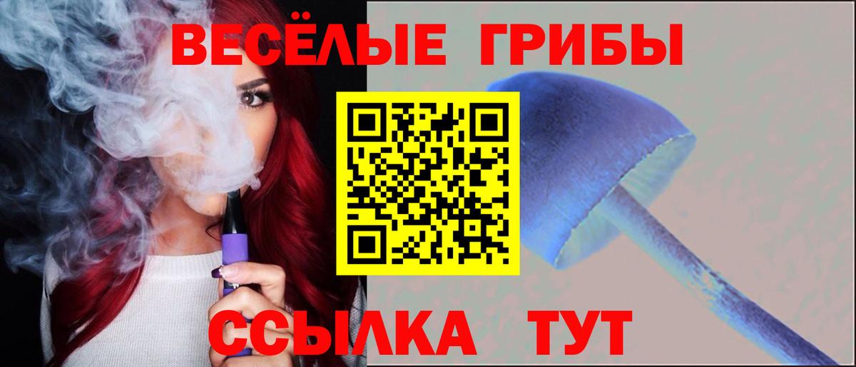 Псилоцибиновые грибы Psilocybine cubensis  Вход с VPN  купить  цена  Бузулук 